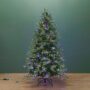Kensington Fir Tree – 7.5′